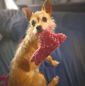 Meet your Posher, Ada